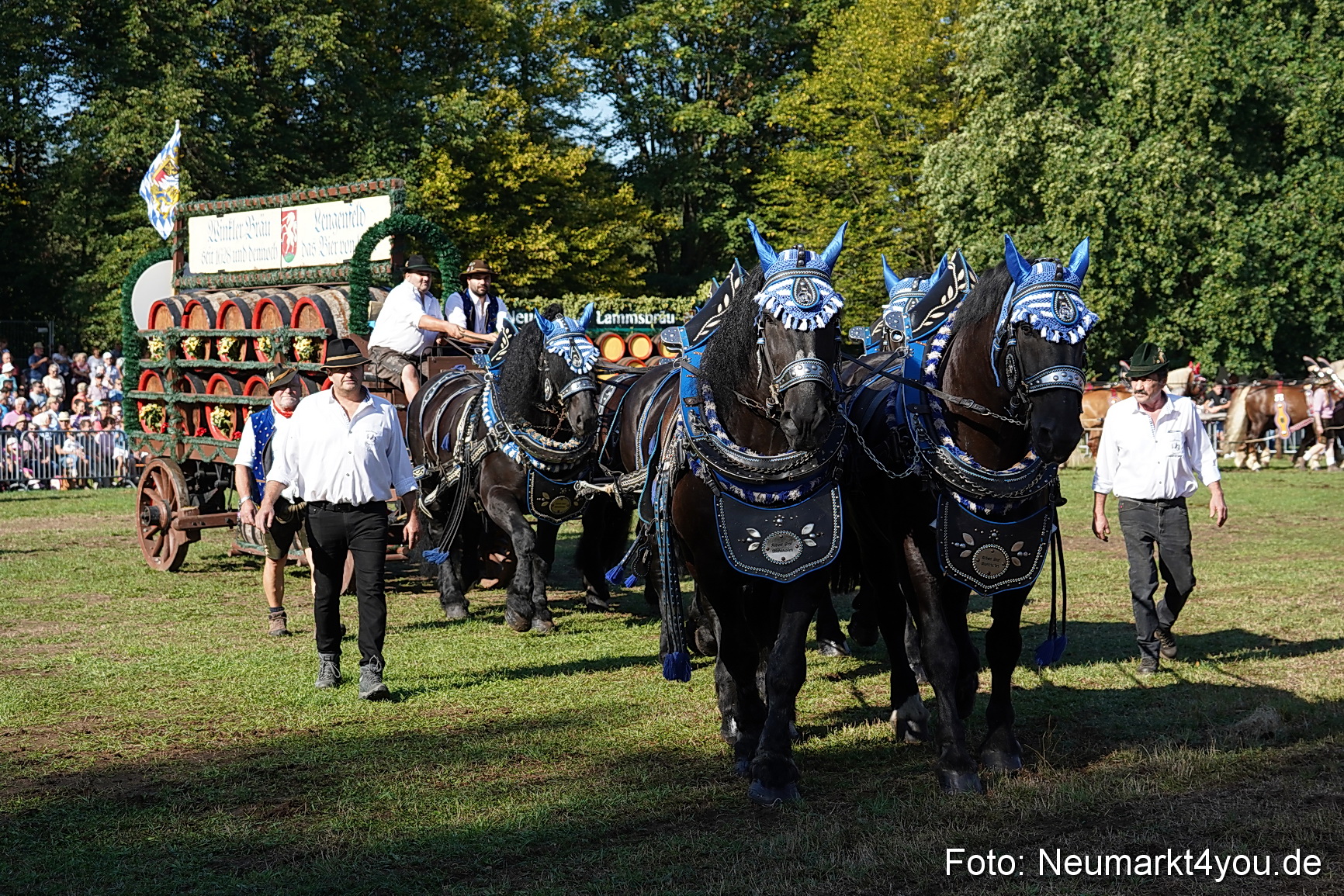 Pferde und Fohlenschau 2022 0049 